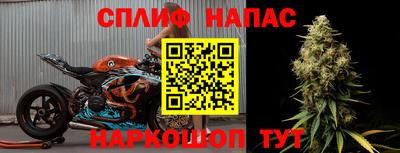 стафф Анжеро-Судженск