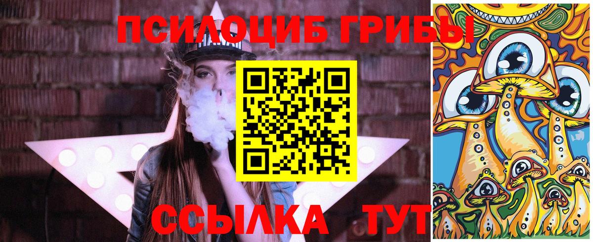 Псилоцибиновые грибы Psilocybe Рыбинск
